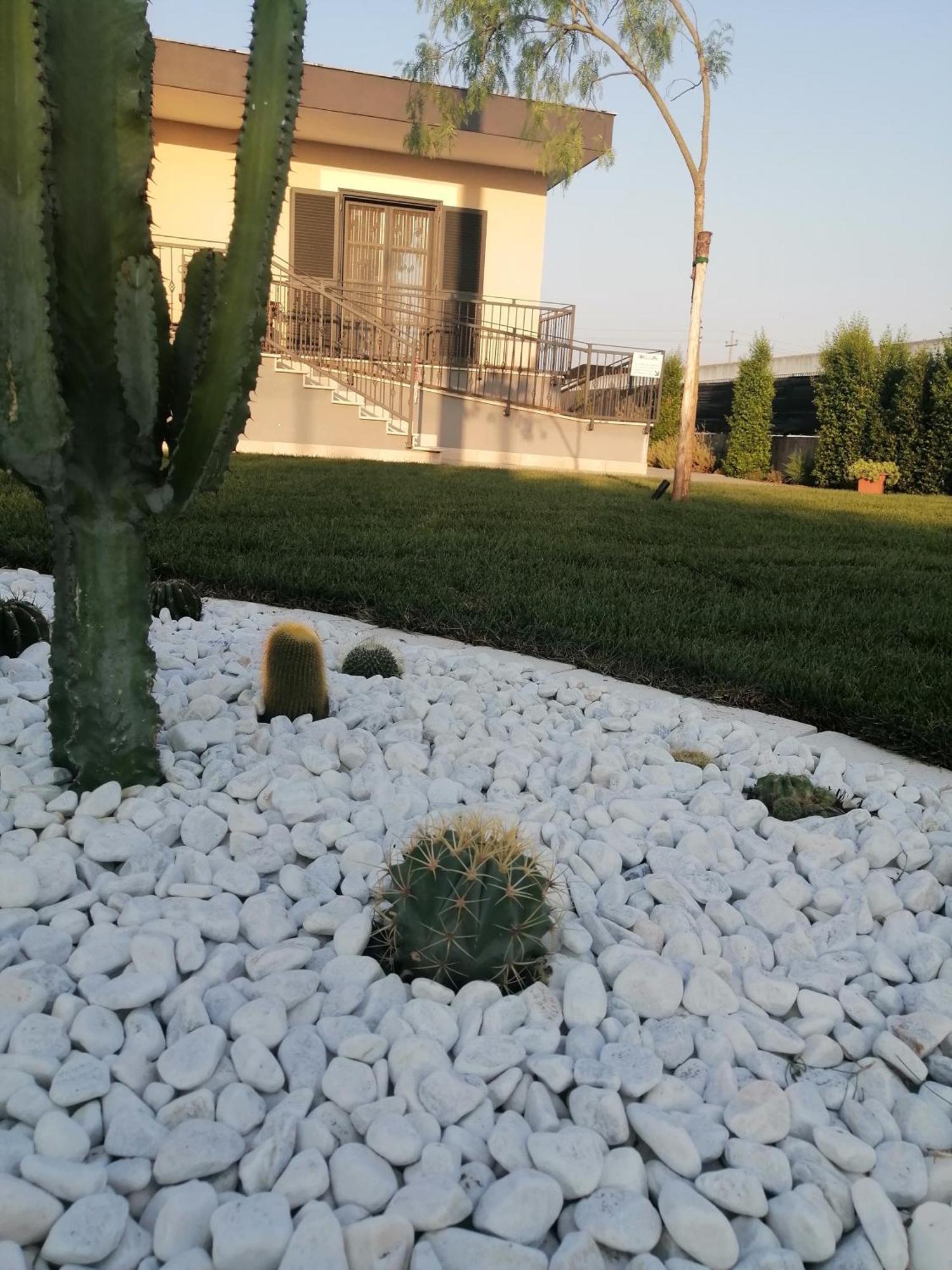 La Casa Del Borgo-Intero Appartamento Latina Buitenkant foto